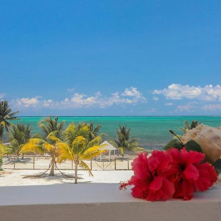 Treetops Hotel Caye Caulker Esterno foto