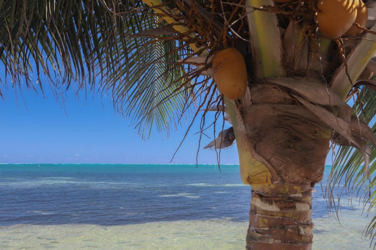 Treetops Hotel Caye Caulker Esterno foto