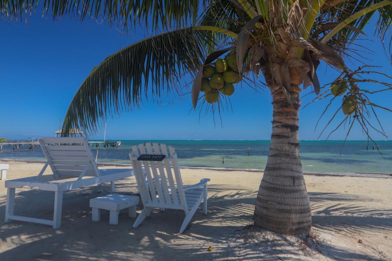 Treetops Hotel Caye Caulker Esterno foto