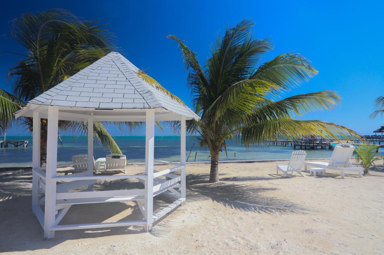 Treetops Hotel Caye Caulker Esterno foto